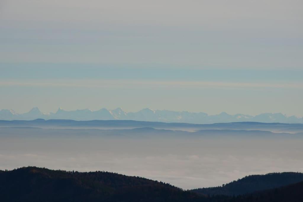 Doller Villa 4 Stars Hot Tub Mountain Ski Ballon D'Alsace Sewen エクステリア 写真