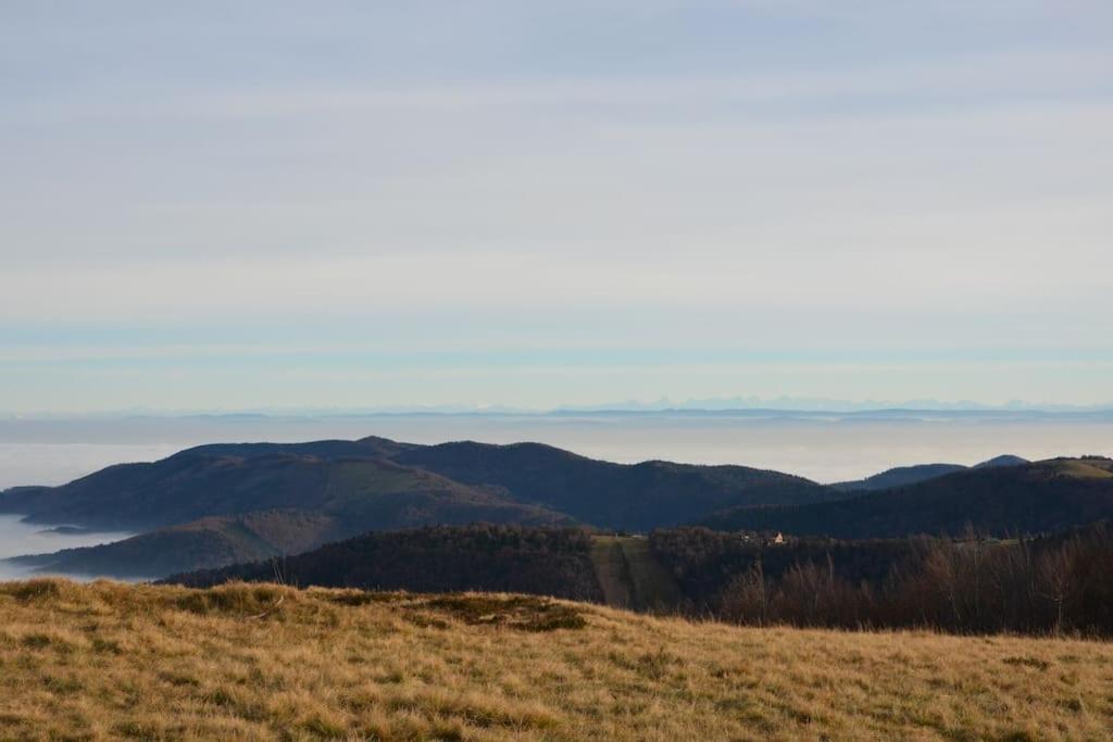 Doller Villa 4 Stars Hot Tub Mountain Ski Ballon D'Alsace Sewen エクステリア 写真