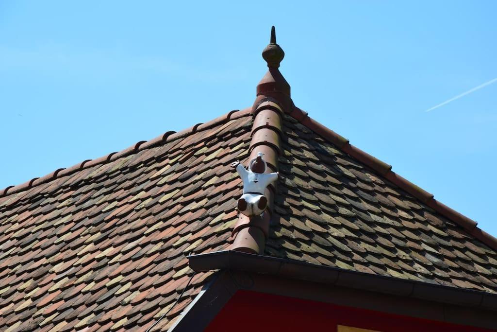 Doller Villa 4 Stars Hot Tub Mountain Ski Ballon D'Alsace Sewen エクステリア 写真